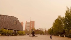 中國北方新一輪沙塵暴來襲民哀嘆：又要吃土(圖)