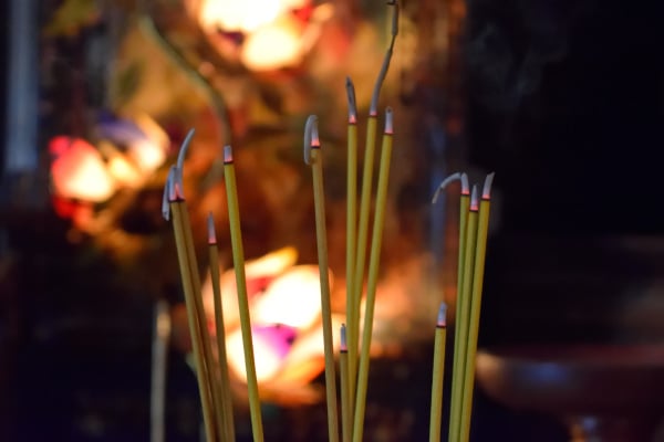 生命启示录：因果与轮回(图)