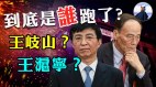 是谁跑了王岐山王沪宁习近平难防的两个最大变数(视频)