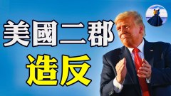 美國二郡叛亂公然宣布抵抗聯邦政府違法在所不惜(視頻)