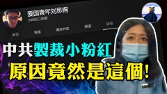 大陆粉红举报台湾博主被罚3000元粉红的至暗时刻已来(视频)