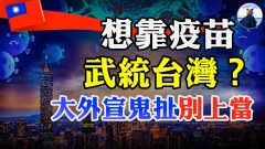 臺灣逾6萬人組織去大陸打疫苗別開玩笑了(視頻)