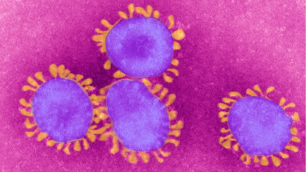 Coronavirus示意图