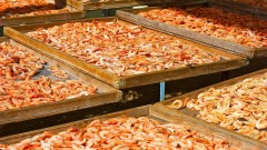 这种家常食物补钙保护心血管首选(组图)