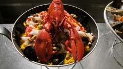 澳洲龙虾涉中共国安问题(图)