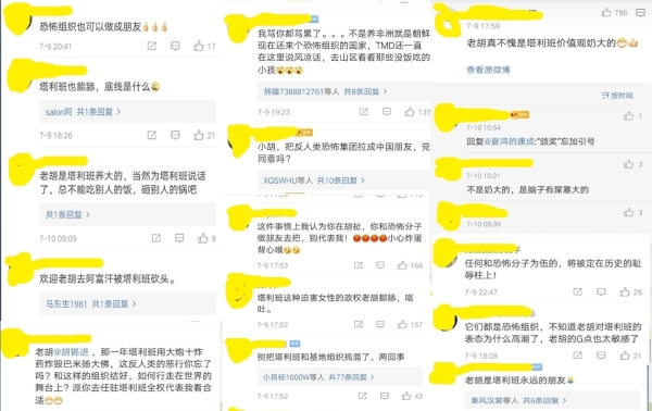 胡锡进帖文遭网民留言灌爆（图片来源：微博）