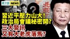 政治局常委会议为何秘密召开三大警讯大老虎要落马