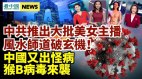 央视推大批新美女主播风水师揭中南海后宫玄机