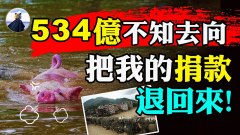 鄭州海綿工程是豆腐渣534億入誰口袋別提給災區捐款(視頻)