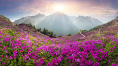 異人治病能斷人生死亦可起死回生(圖)