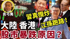 大陆和香港股市暴跌的背后原因(视频)