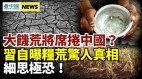 細思極恐習近平親口説出糧食危機驚人真相