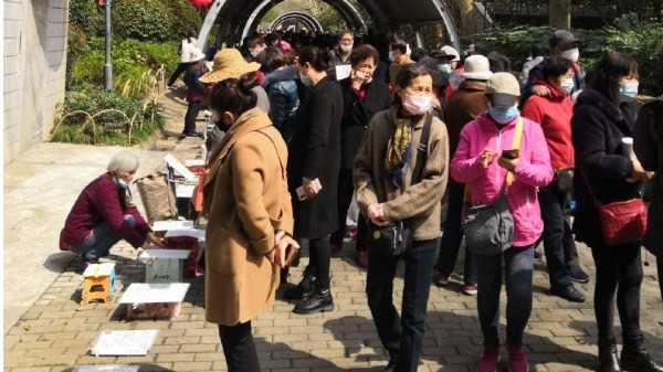 征婚活动 三胎 上海人民公园 速恋爱 速生育