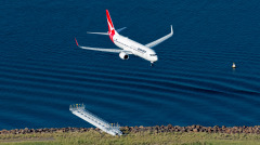 前所未闻客机在天空中撞上一只兔子(图)