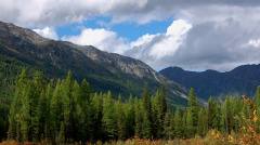 最不寻常一位隐居原始森林里的神秘女子(组图)