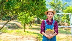 中医：热衰竭与中暑大不同1款茶饮防中暑(组图)