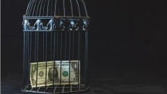 警告：要把資本關進籠子……(組圖)