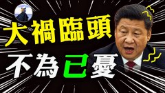 大谷翔平第8胜入袋40轰刷新队史左打纪录 组图 Mlb 万花筒 看中国网 移动版