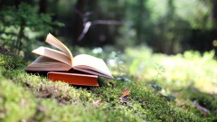 2则小故事：“聪明”与“智慧”的区别是什么(图)