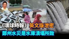 【王维洛专访】《环球时报》英文版泄密—郑州水灾是水库溃坝所致