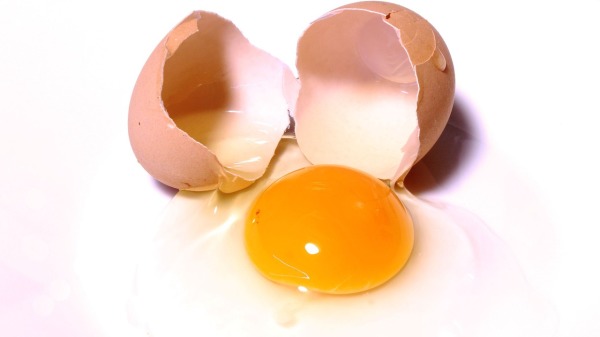 鸡蛋 蛋清 蛋黄