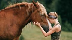 動物冒死救人的感人故事(圖)