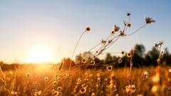 轉世投胎抓凶手前世記憶協助警方破案(圖)