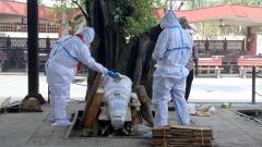 可怕傳奇女先知的末世預言(圖)