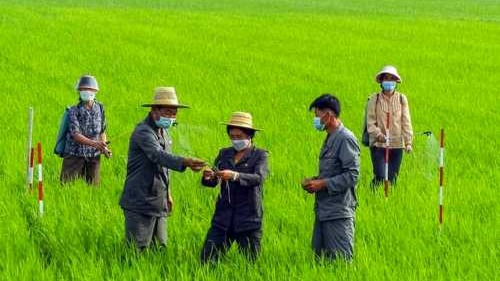 7月6日，朝鲜官媒刊登平壤市力浦区小三亭蔬菜协同农场洒农药的照片