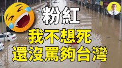 一位大陆人讲述真实的台湾(视频)