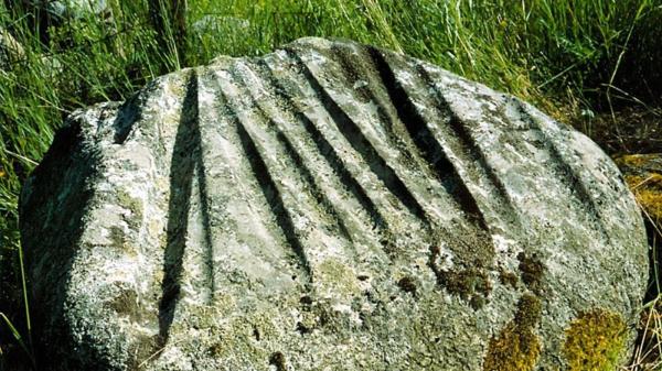 哥特兰岛上许多石头的表面上有奇特的凹槽或切割痕迹