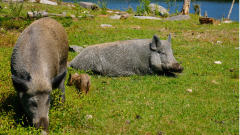 轉生爲了來還債不多給也不少還(圖)