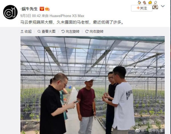 日前，阿里巴巴集團創辦人馬雲低調視察浙江省平湖市幾個蔬菜大棚的照片被曝光。