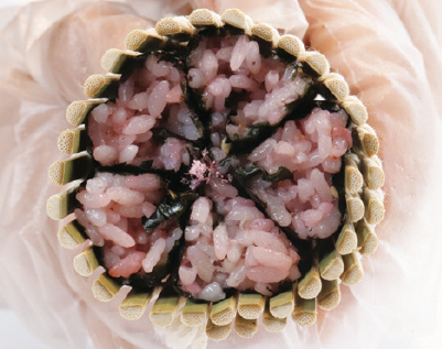 第一本韓式造型飯捲 櫻花飯捲