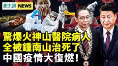 内部惊曝：火神山医院病人半月内全被钟南山治死了