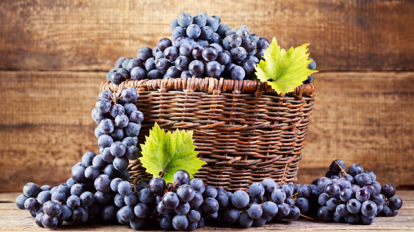研究证实多吃葡萄可降低胆固醇，进而维护心血管健康，帮助预防心脏病与中风。