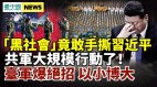 臺軍一絕招以小博大共軍大行動；上海黑社會撕習近平