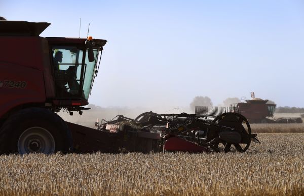 2021年1月12日，澳大利亞墨爾本以西約100 公里的農場正在收穫麥田。