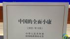 中國貧富懸殊的全面小康(圖)