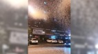 內蒙古遭千萬黑蟲侵襲　民驚呼：何方妖孽(圖)